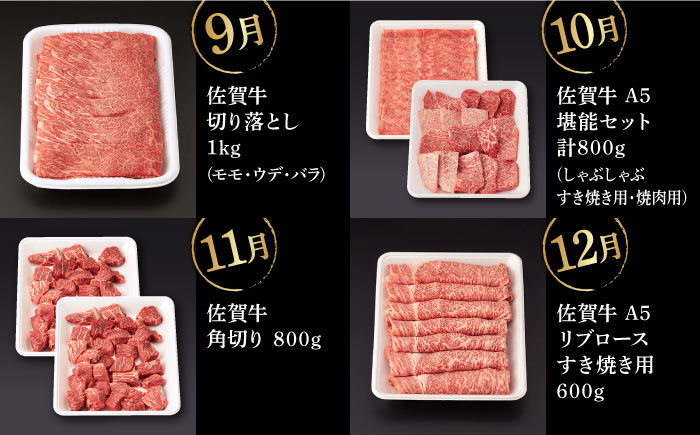 【12回定期便】【先行予約】佐賀牛 フルコース定期便 【桑原畜産】[NAB110]  牛肉 佐賀県産 黒毛和牛 定期便
