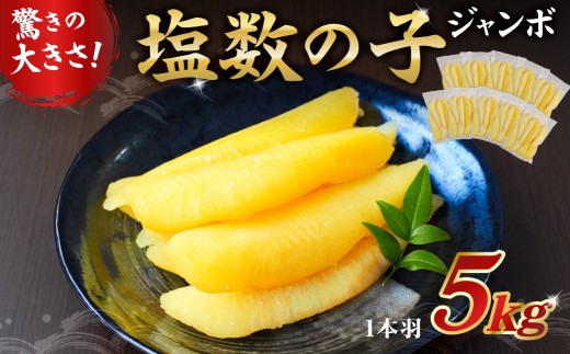 塩数の子ジャンボ　1本羽　5kg　小分け（500g×10袋） mi0012-0072 【数の子 ニシン ジャンボサイズ 海産物 魚卵 レシピ同封 お正月 おせち料理】