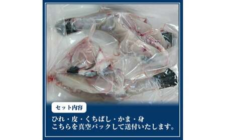 【北海道・東北・沖縄・離島配送不可／着日指定必須】市場直送！とらふぐ 身欠き 1匹分 600g前後 海鮮 フグフグフグ
