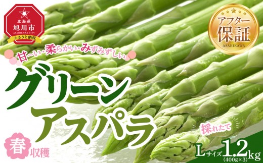【先行予約】春収穫グリーンアスパラLサイズ（400g×3）約1.2kg（2026年6月上旬から発送開始予定）【 アスパラ アスパラガス 朝採り とれたて 野菜 旬 小分け 保存 産直 産地直送 お取り寄せ 旭川市 北海道 】_05534