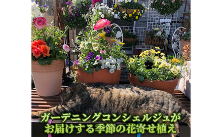 花 ガーデニングコンシェルジュがお届けする 京都産 ガーデニング