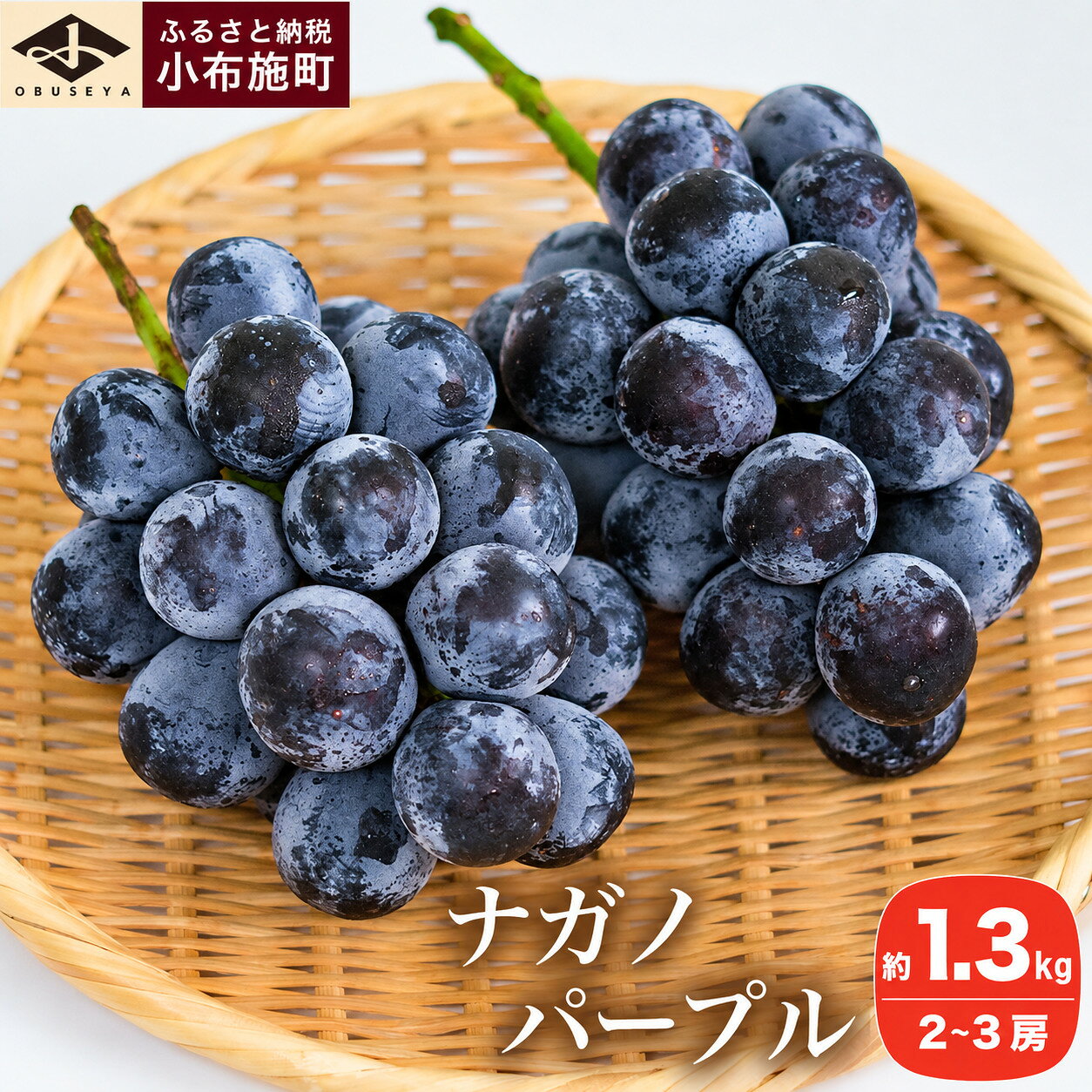 【ふるさと納税】 ナガノパープル 約1.3kg 2～3房 ［小布施屋］ 果物 フルーツ ぶどう 葡萄 長野県産 信州産 小布施 デザート 冷蔵便 クール便 先行予約 令和8年産 【2026年9月上旬～11月発送予定】 家庭用 食後 旬 味覚 家族 団らん ブドウ くだもの
