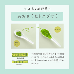 海の緑黄色野菜 あおさのり（乾燥） 6g×5袋 小分け