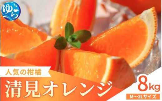家庭用 清見オレンジ 8kg / 清見 みかん 晩柑 柑橘  蜜柑 果物 食品 人気 送料無料 産地直送 和歌山県 由良町  ※2月下旬～3月下旬頃に順次発送予定【kzmn011-c-8】