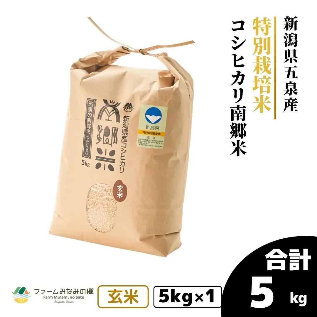 【令和8年産】コシヒカリ 玄米 5kg 特別栽培 南郷 五泉市産｜新米 コシヒカリ