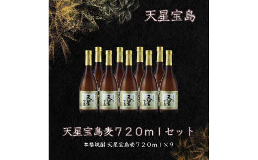 
天星宝島麦７２０ｍｌ×９本セット
