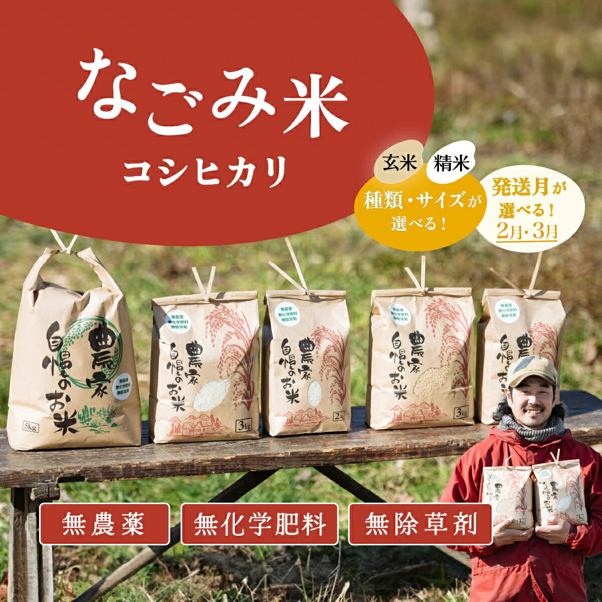 【ふるさと納税】茨城県 下妻市産 R7年産 米 なごみ米（ コシヒカリ ）〔 玄米 / 精米 〕〔 2kg ～ 5kg 〕〔 2月 3月 〕 【 お米 コシヒカリ 米 無農薬 無化学肥料 無除草剤 精米 玄米 自然 農法 茨城県産 5000円 ～ 】