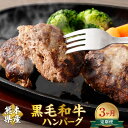 【ふるさと納税】【3か月定期便】黒毛和牛ハンバーグ 合計42個 (120g×14個×3回) ハンバーグ 黒毛和牛 ハンバーガー 和牛 九州 熊本県 菊陽町 冷凍 送料無料