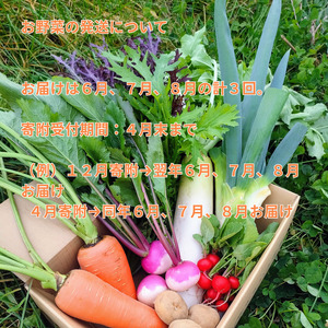 「先行予約」　定期便3回　野菜セット　朝採れ　新鮮　７種　栽培期間中　無農薬　信州　長野県　高原＜出荷時期 : 2025年6月1日出荷開始～2025年8月31日出荷終了＞ 【 産地直送 高原野菜 産直