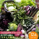 【ふるさと納税】【12品×12回定期便】農薬に頼らない！カラダにやさしい「イタリア野菜」セット（ラージ）【吉野ヶ里あいちゃん農園】[FAA022]