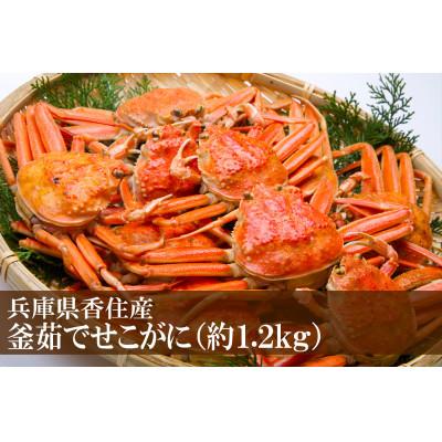 ふるさと納税 香美町 せこがに 釜茹で 冷凍 兵庫県香住産 約1.2kg(6〜10匹)【2025年11月中旬以降順次発送】