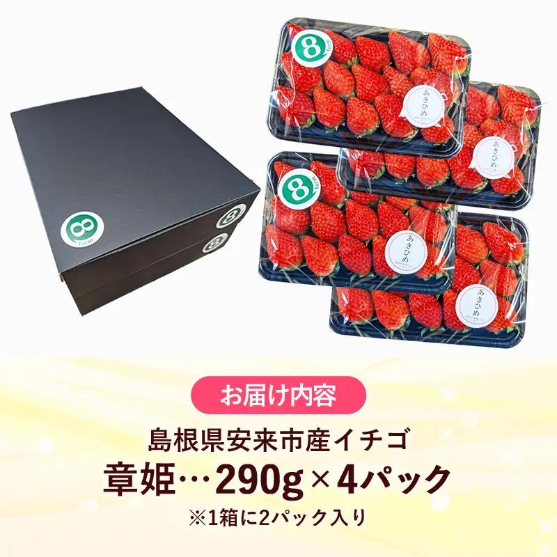 【先行予約】 章姫 4パック 【 約290g×4パック あきひめ イチゴ いちご 苺 ストロベリー 冷蔵 安来市産】【16-FA-09】