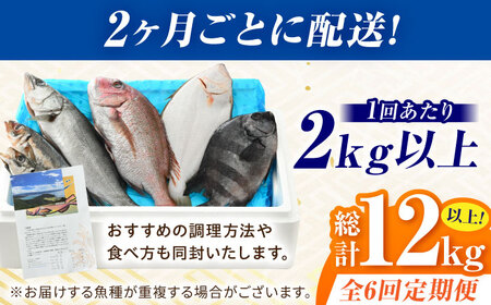 【定期便】全6回(隔月発送)【加福鮮魚】「若狭小浜港産地直送」旬の天然鮮魚お任せセット！地魚 下処理済み 刺身 煮魚 焼き魚 小浜市 / 加福鮮魚 【配送不可地域：北海道、北東北（秋田、青森、岩手）、