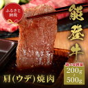 【ふるさと納税】選べる容量【和牛セレブ】能登牛　牛肩（ウデ） 焼肉 200g～500g 牛肉 最高級 肩肉 うで肉 シャクシ 焼肉 黒毛和牛 能登牛 和牛セレブ イベント お祝い クリスマス お正月 誕生日 パーティー 石川県 加賀市 F6P-2141var