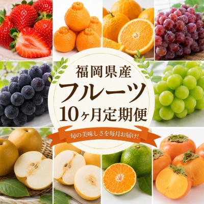 
                  ＜発送月固定定期便＞フルーツ　10ヶ月定期便(福岡県)全10回【4090451】
                