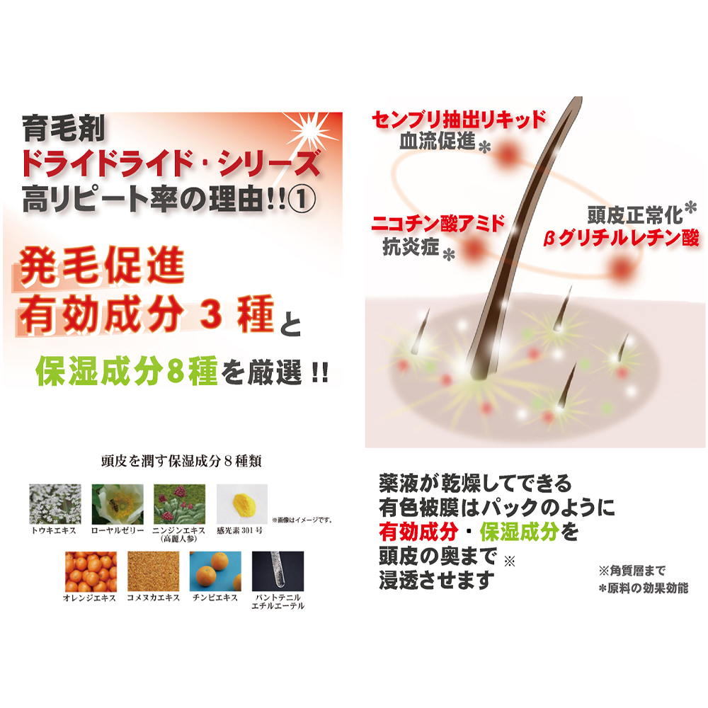 【黒髪向け】医薬部外品 育毛・発毛促進剤 ドライドライド クイックインパクト 120mL