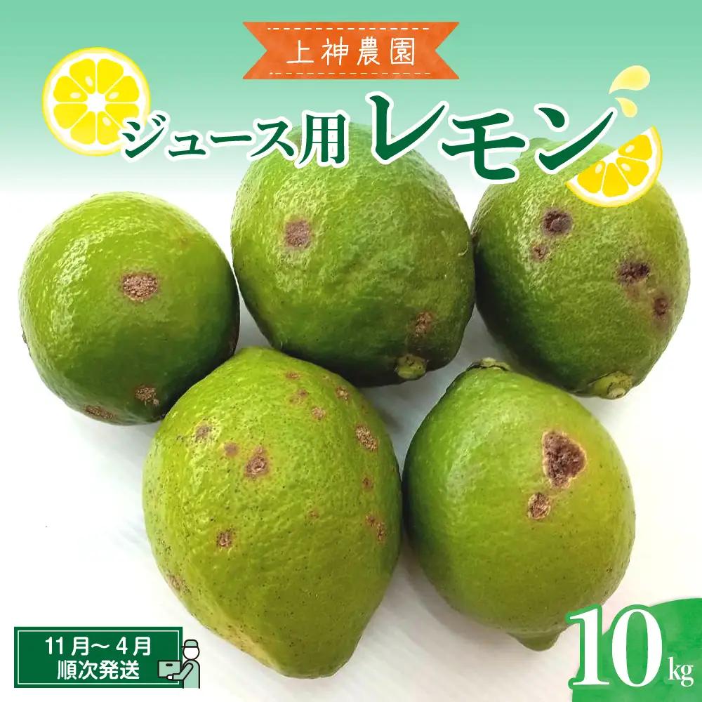 先行受付 2026年11月～発送 ジュース用 レモン 約10kg 国産