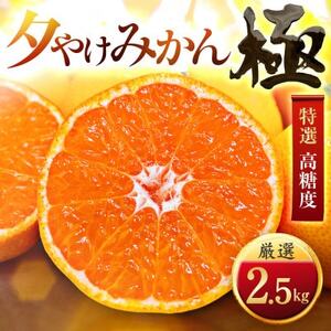 【太陽をたっぷり浴びた】夕やけみかん【極】2.5kg【A49-76】【1557599】