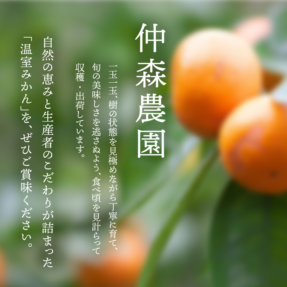 【数量限定】仲森農園の温室みかん 2.5kg 【2026年7月より順次発送予定（お届け日指定不可）】【nkmr0001】