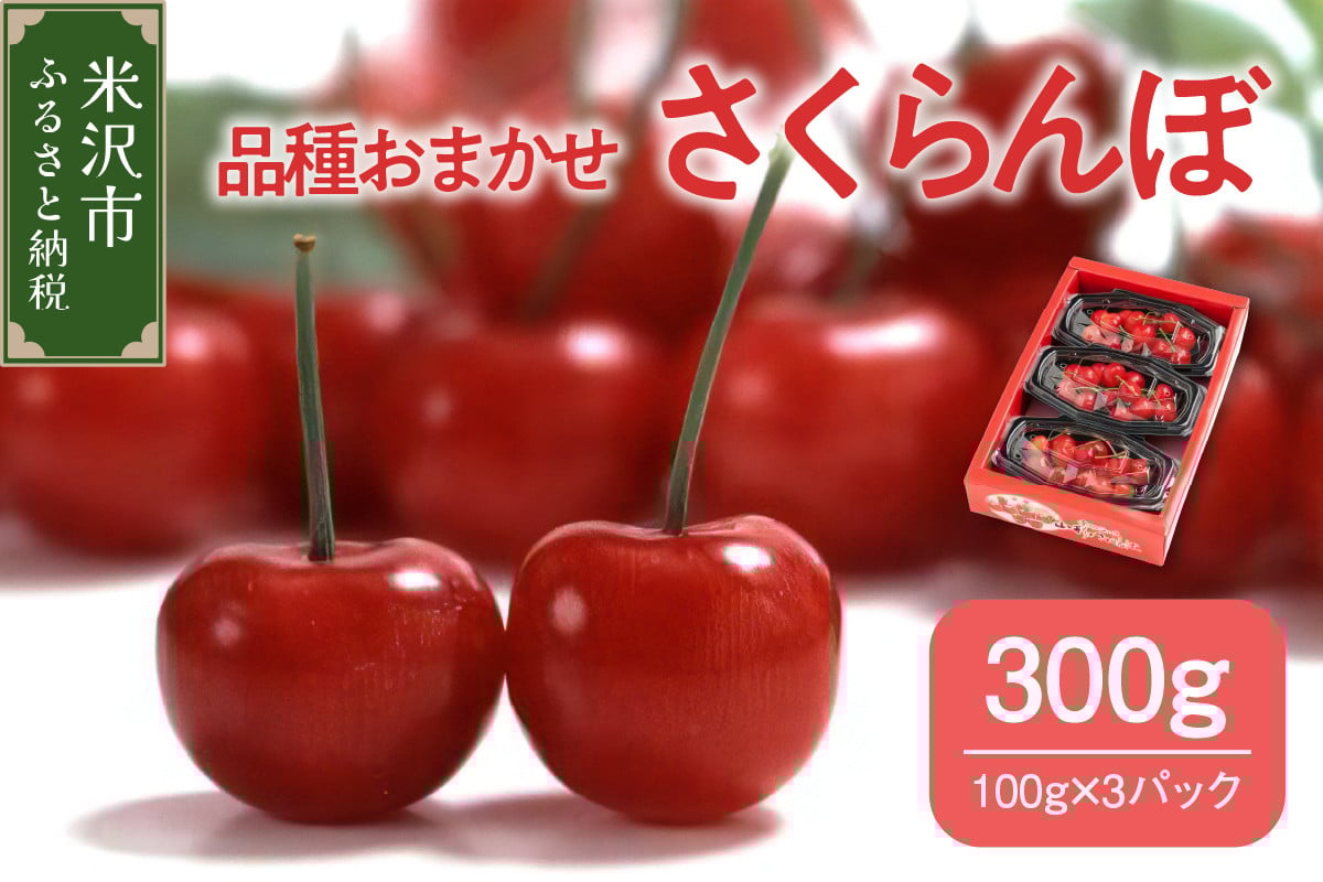 
                  【先行予約】 令和8年産 さくらんぼ 300g ( 100g × 3パック ) 品種おまかせ フルーツアドバイザー 厳選  佐藤錦 紅秀峰 紅てまり 大将錦 いずれか 山形県 米沢市
                
