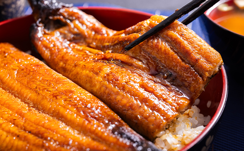 高知県産養殖うなぎ蒲焼 10尾(合計1000g以上) - 鰻 ウナギ 国産 蒲焼き かば焼き かばやき うな丼 うな重 ギフト お中元 御中元 父の日 お礼 御礼 感謝 贈答 贈り物 土用の丑の日 高