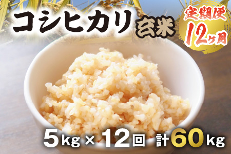 【令和7年産】【農家直送定期便 12ヶ月コース】【玄米】 本原農園のまごころコメた 福井県産 コシヒカリ 5kg × 12回 計60kg [M-8904]