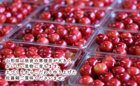 【先行受付 令和7年度発送】山形県産 朝摘みさくらんぼ 特選佐藤錦1kg ギフト箱入り FSY-0348