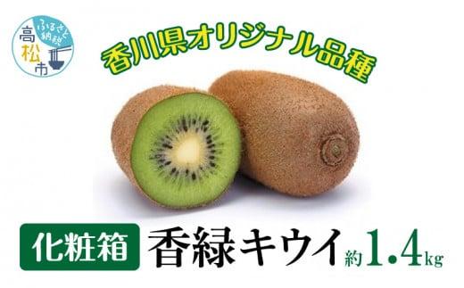 香緑キウイ化粧箱　約1.4kg【2027年1月上旬～2027年3月下旬配送】