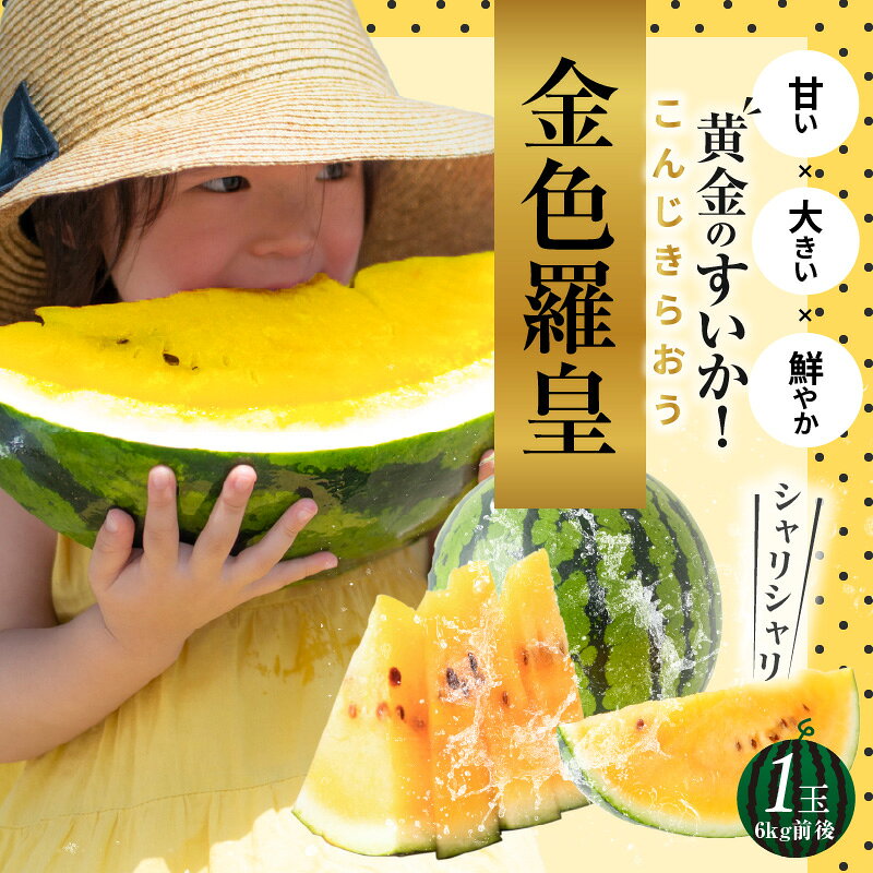 【ふるさと納税】〈予約受付〉2027年発送 大玉 スイカ 1玉 6kg 前後 金色羅皇 夏 甘い 濃い黄橙色 黄金 極めて強い甘み さっぱりした風味 硬め シャリシャリ みずみずしい 高球形 ジューシー フルーツ 果物 お取り寄せ お取り寄せフルーツ 送料無料