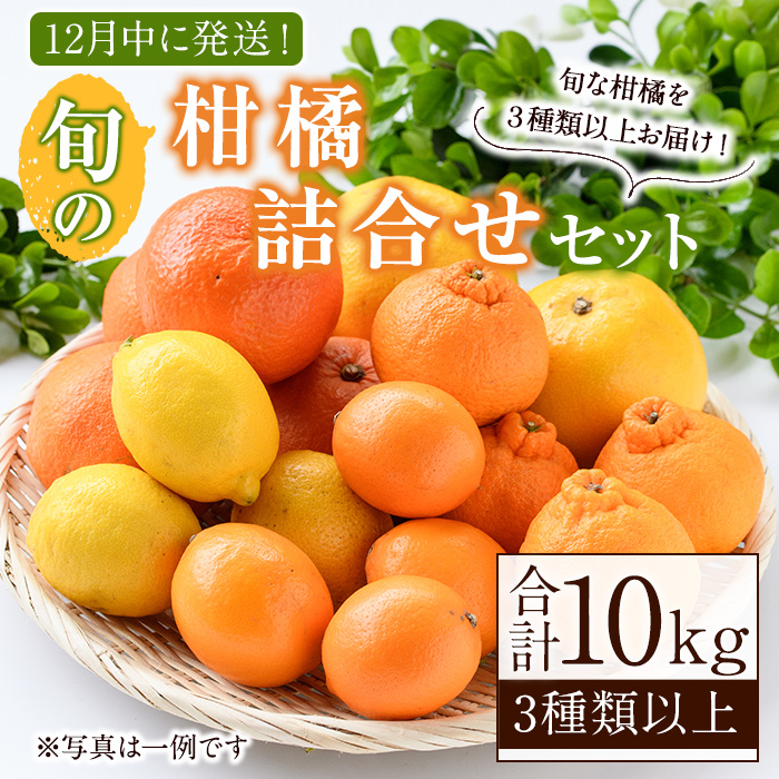 ＜2026年12月発送分！＞旬の柑橘詰合せセット (約10kg) 国産 鹿児島県 阿久根市 果実 果物 フルーツ 柑橘 みかん ミカン 旬 詰め合わせ セット【桐野柑橘株式会社】akn070-16-m12