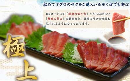 【数量限定】 厳選 天然 本マグロ 大トロ 1kg以上 国産 マグロ 鮮魚 魚 刺身 刺し身 漬け丼 海鮮丼 おかず 魚介類 海鮮 海産物 まぐろ 本まぐろ 鮪 ブロック  惣菜 冷凍 美阿丸 高知県