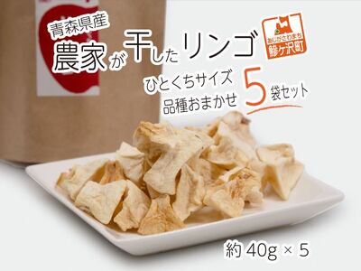 ドライフルーツ 農家が干したりんご 品種おまかせ 風丸農場 ドライフルーツ【40g×5種 計5袋】