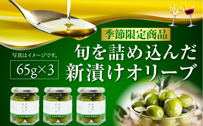 フレッシュな香り！【10月から順次発送】瀬戸内のオリーブと天然塩の風味感じる オリーブの新漬け 65g×3個 オリーブオイル 調味料 油 江田島市/リベラグループ株式会社[XAJ012] オリーブオイル