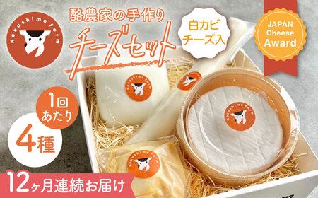 【12回定期便】白カビチーズ入り チーズ4種[NAJ109]チーズチーズチーズチーズチーズチーズ