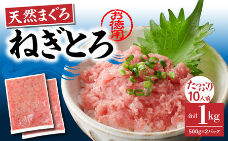 ＜選べる配送月＞【 神奈川県漁連 】 ＜ お徳用 ＞ 天然 まぐろ ねぎとろ 1kg（ 500g × 2P ） M077-011-02 冷凍 マグロ