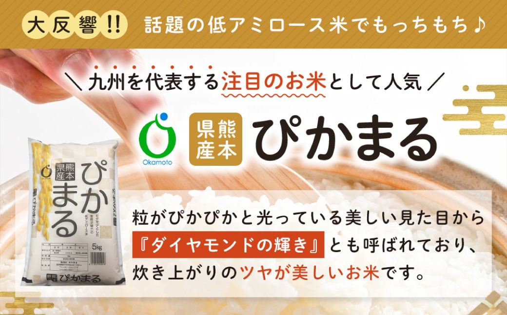 熊本県産ぴかまる 5kg×2袋