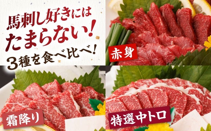  馬刺し 食べ比べ セット 霜降り馬刺し 馬肉 桜肉 霜降り 中トロ 赤身 タレ付き 冷凍 刺身 九州 熊本県 特産品 山鹿