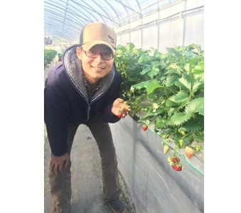 【2027年（令和9年）1月～発送】奈良ブランドいちご２種（古都華と他１種）食べ比べセット×２セット （古都華２パック＋別品種２パックの計４パック） (他１種は、かおりの・珠姫・奈乃華・ならあかり・あ