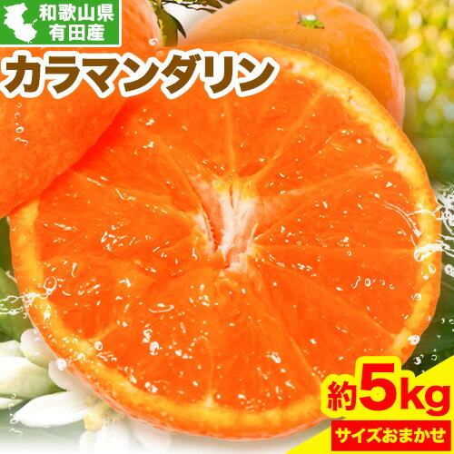 【ふるさと納税】みかん 濃厚 春みかん 有田産 カラマンダリン 約5kg ( サイズおまかせ ) 厳選館《2026年4月上旬-5月上旬頃出荷》和歌山県 日高川町 柑橘 果物 送料無料
