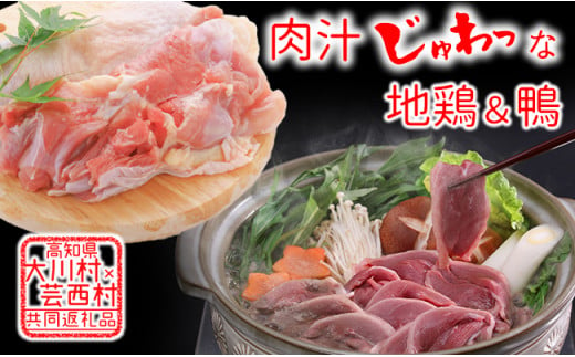 【大川村と芸西村の共通返礼品】はちきん地鶏 もも肉 1kg＆土佐鴨 鴨鍋肉（4～5人前）セット 地鶏 モモ肉 鶏肉 鴨 鴨肉 かも肉 とり肉 とりにく 肉 高知県 大川村  鶏モモ 鶏もも肉 F6R-012