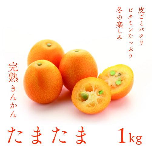 【ふるさと納税】完熟きんかん「たまたま」1kg 宮崎県産 金柑 フルーツ 果物 柑橘 甘い 希少 特産品 ギフト プレゼント お取り寄せ グルメ 国産 デザート スイーツ 産地直送 送料無料 綾町