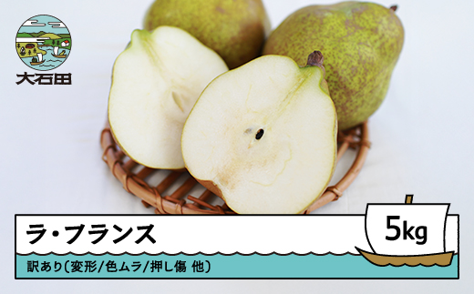 ラ・フランス 洋梨 訳あり 約5kg 2025年産 令和7年産 フルーツ 果物 山形県 ns-lawax5