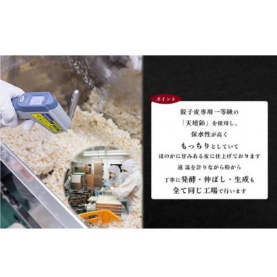 ふるさと納税 海津市 岐阜県海津市産　栄養価満載!臭い残り少ない!発芽にんにく使用　「ガツンとにんにく餃子」1パック |  | 03