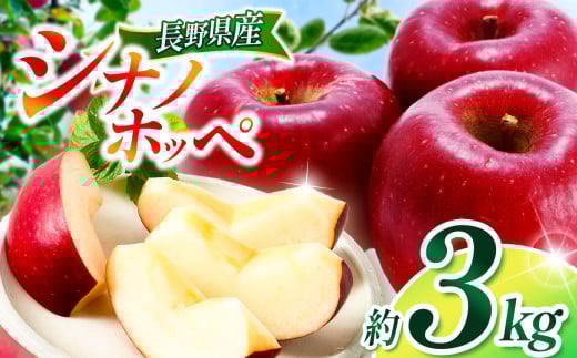 【2025年先行予約】シナノホッペ 3kg ｜ 浅野農園 リンゴ りんご 林檎 果物 くだもの フルーツ 果実 果汁 シナノホッペ 長野県 松川村 信州 北アルプス