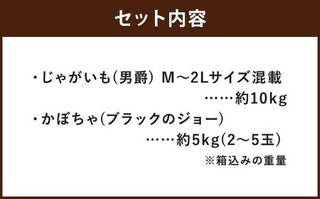 北海道産 じゃがいも 男爵 M～2Lサイズ混載 約10kg かぼちゃ ブラックのジョー 約5kg（2～5玉） セット 各1箱 合計約15kg 2箱 山田農場 ジャガイモ 芋 いも イモ 栗かぼちゃ 南