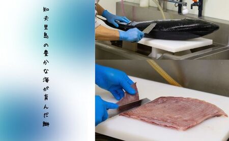 【漁師直送】知夫里島オリジナル鰤カレーセット 5食パック ココナッツ風味 隠岐 知夫里島 本格カレー