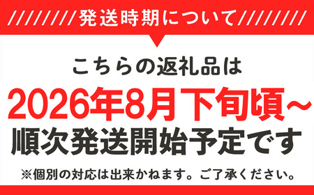 フルーツ R8 先行予約 ポポー 約1kg 4～5個 幻のフルーツ