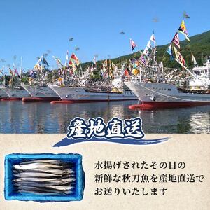 【期間限定】訳あり 鮮さんま 約2kg 冷蔵 20尾～25尾 秋刀魚 サンマ 生サンマ 