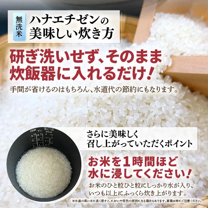 【先行予約】【令和8年産】【10月上旬以降発送】 華越前 無洗米 5kg / 米 5キロ ハナエチゼン はなえちぜん 北陸 福井県産 あわら市 ブランド米 白米 お米 コメ こめ kome ※2026