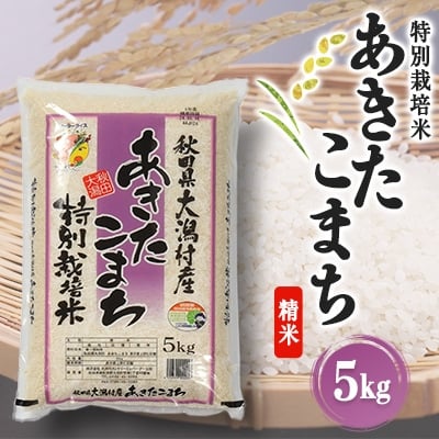 
            あきたこまち特別栽培米 精米5kg【1107609】
          